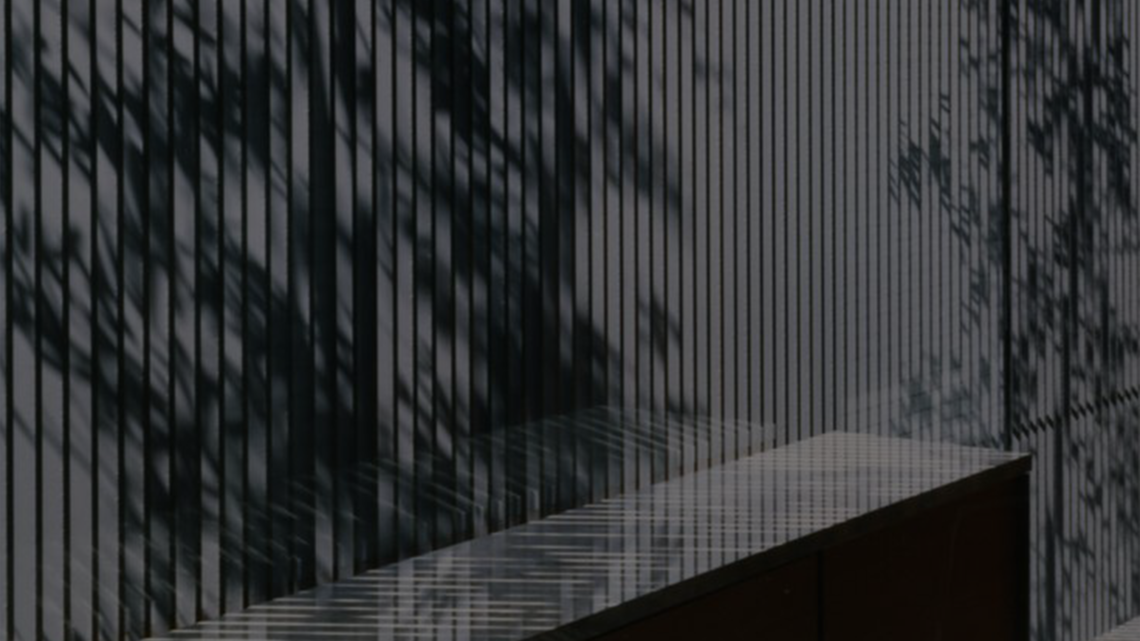 BANNER WEBSITE CLEAN ORGANIC LIGHT TEXTURE